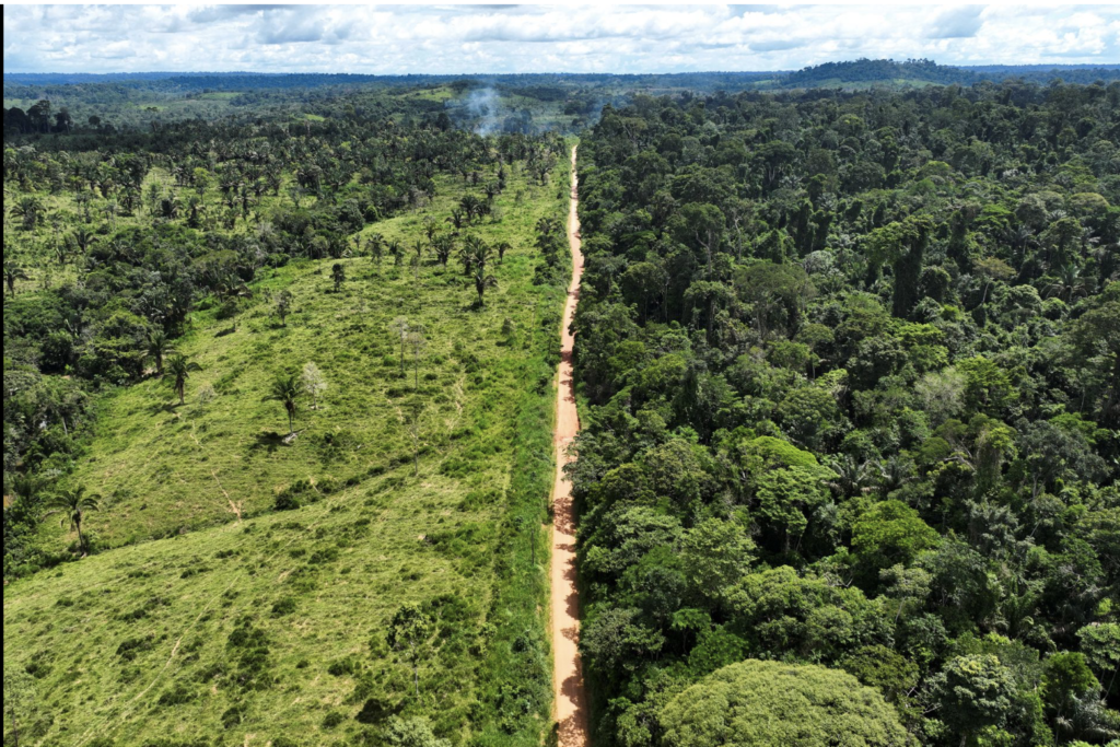 deforestation Brazil