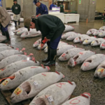 fish on ground in china market