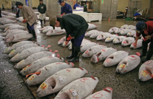 fish on ground in china market