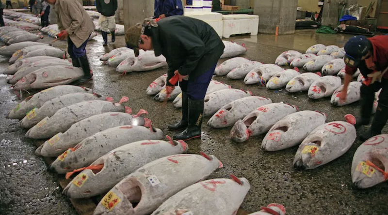 fish on ground in china market